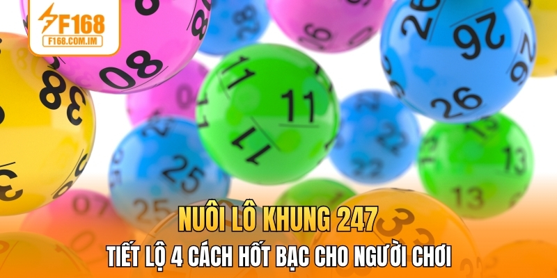 nuôi lô khung 247