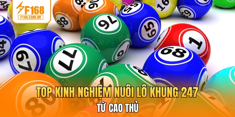 Top kinh nghiệm nuôi lô khung 247 xương máu từ cao thủ