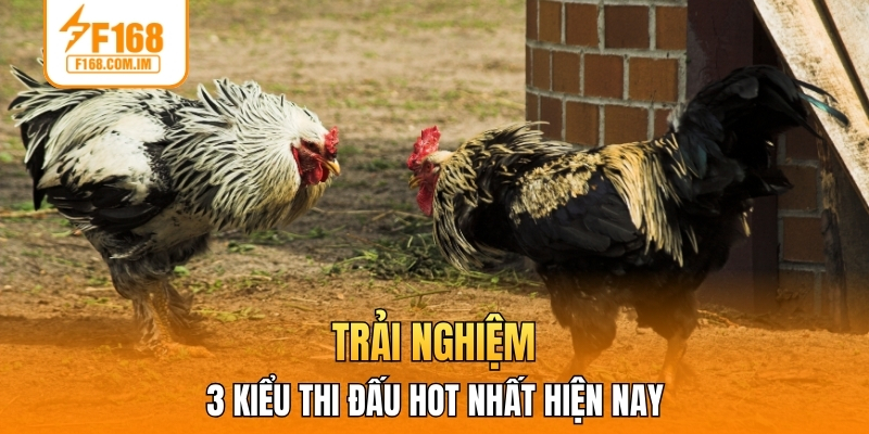 Trải nghiệm 3 kiểu thi đấu hot nhất hiện nay